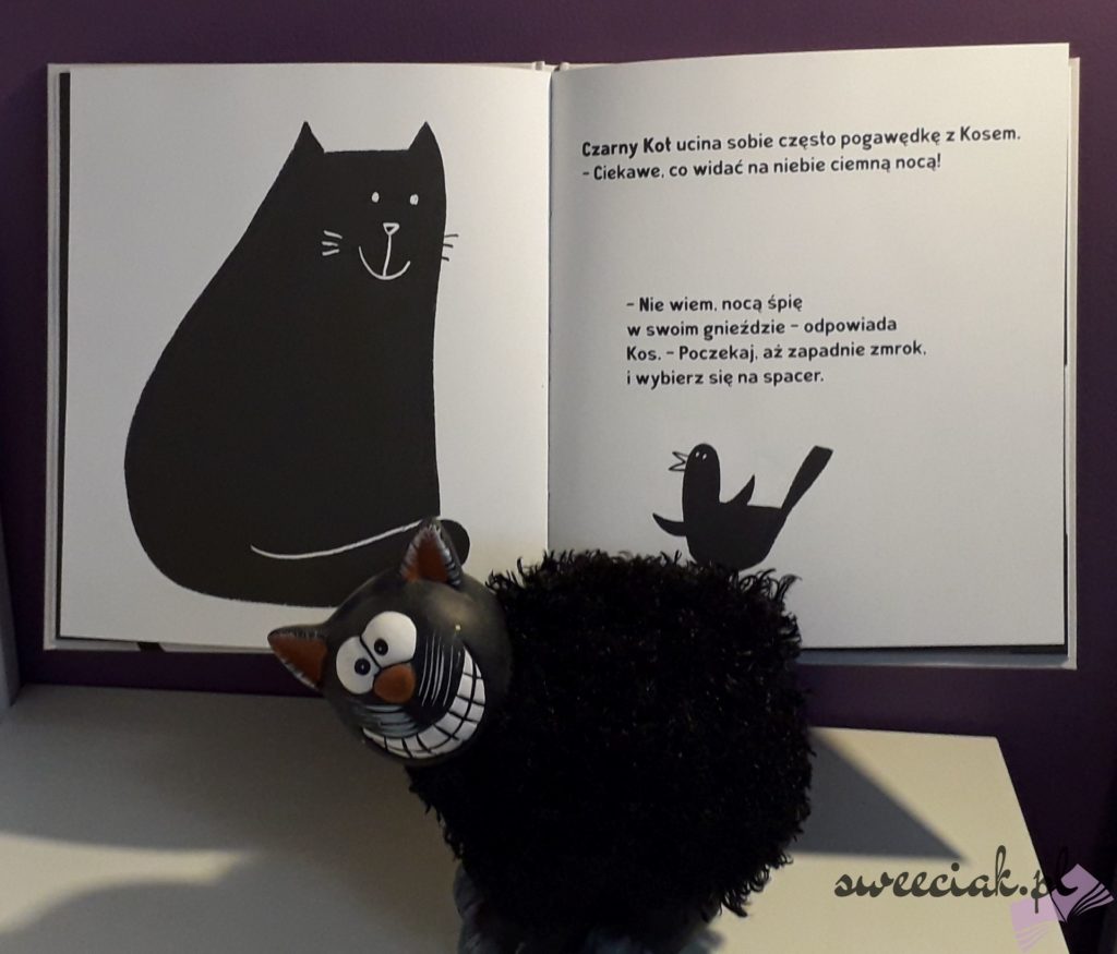 “Czarny kot, biała kotka” - Silvia Borando